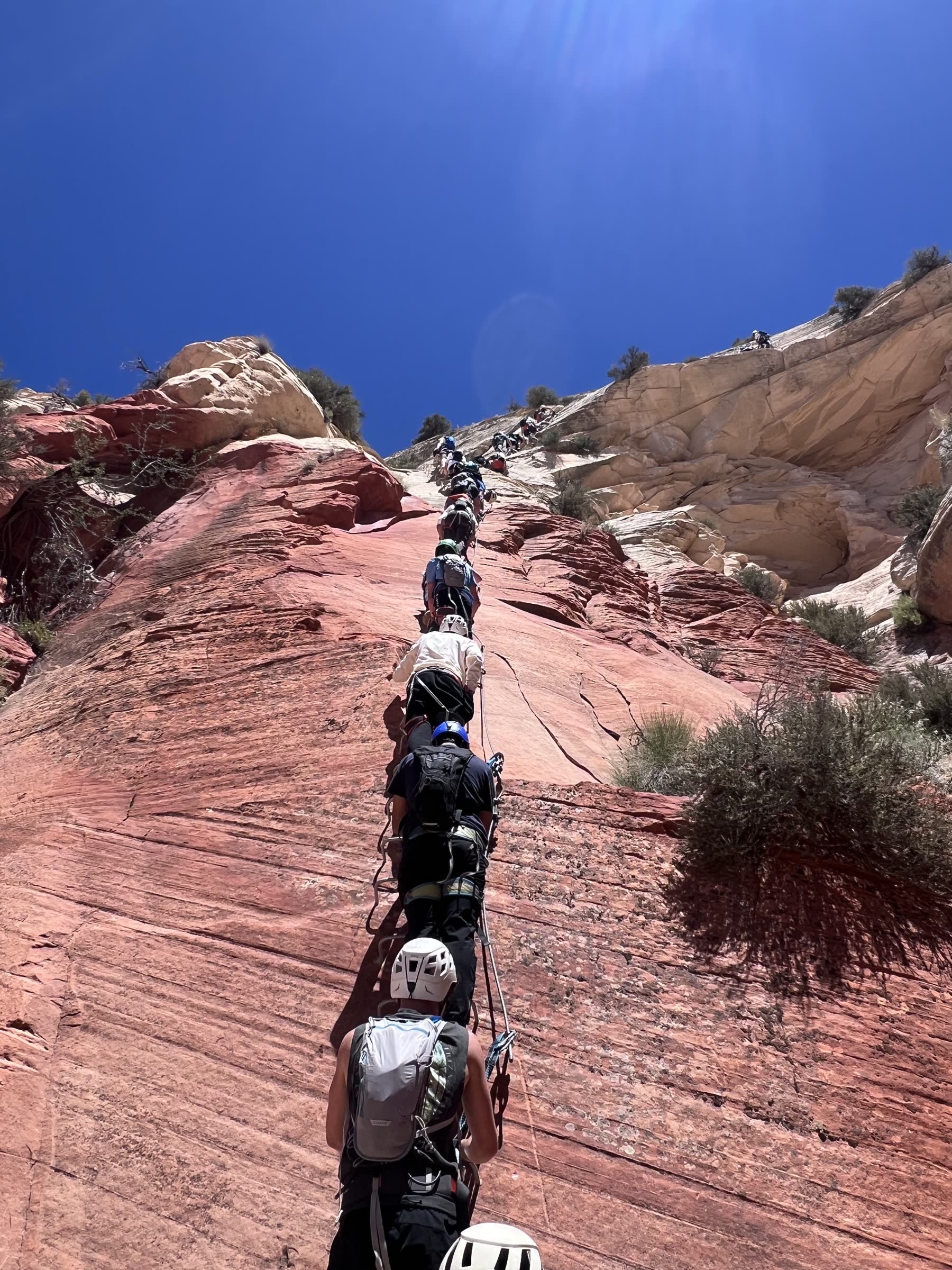 Line of campers rope-climbing up a red rock canyon