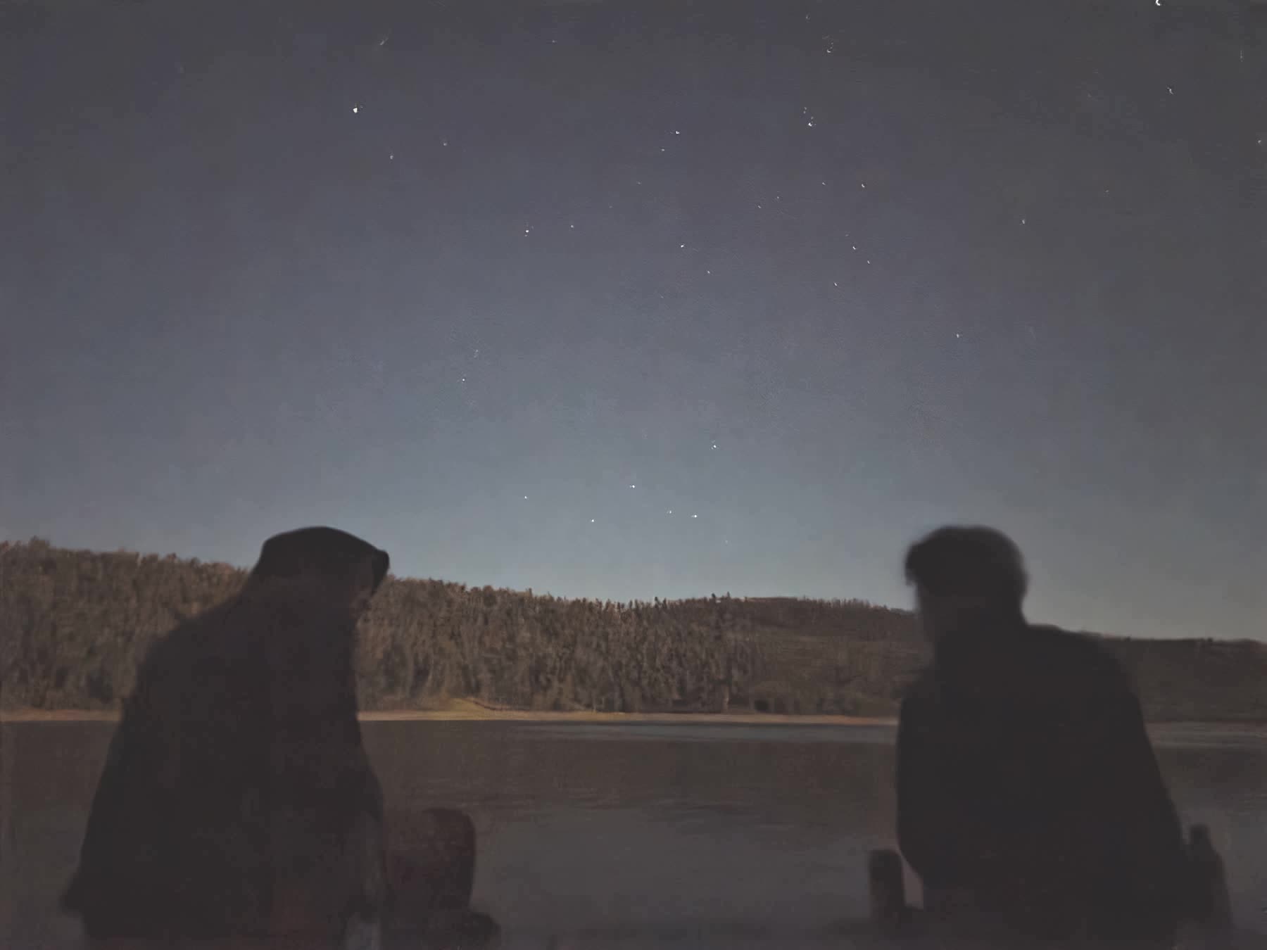 Campers silhouetted against a starry night sky over a lake