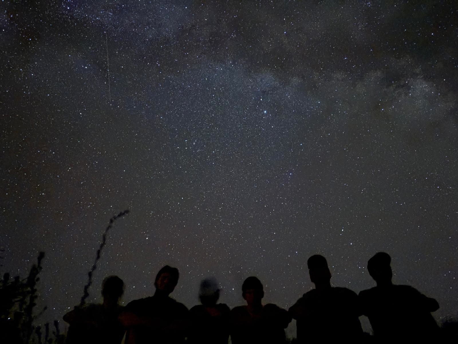 Silhouettes of campers under a starry night sky